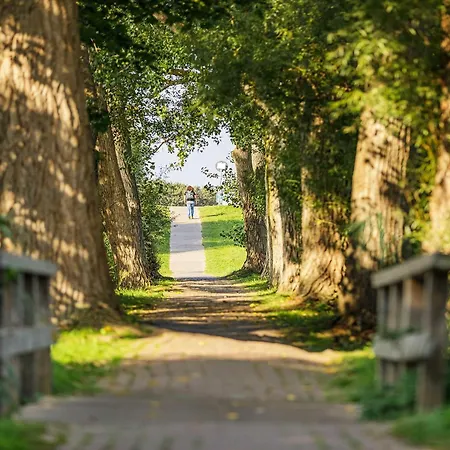 5 Sterne Boddenstern - Atemberaubender Blick Auf Bodden Apartment Wustrow (Fischland)